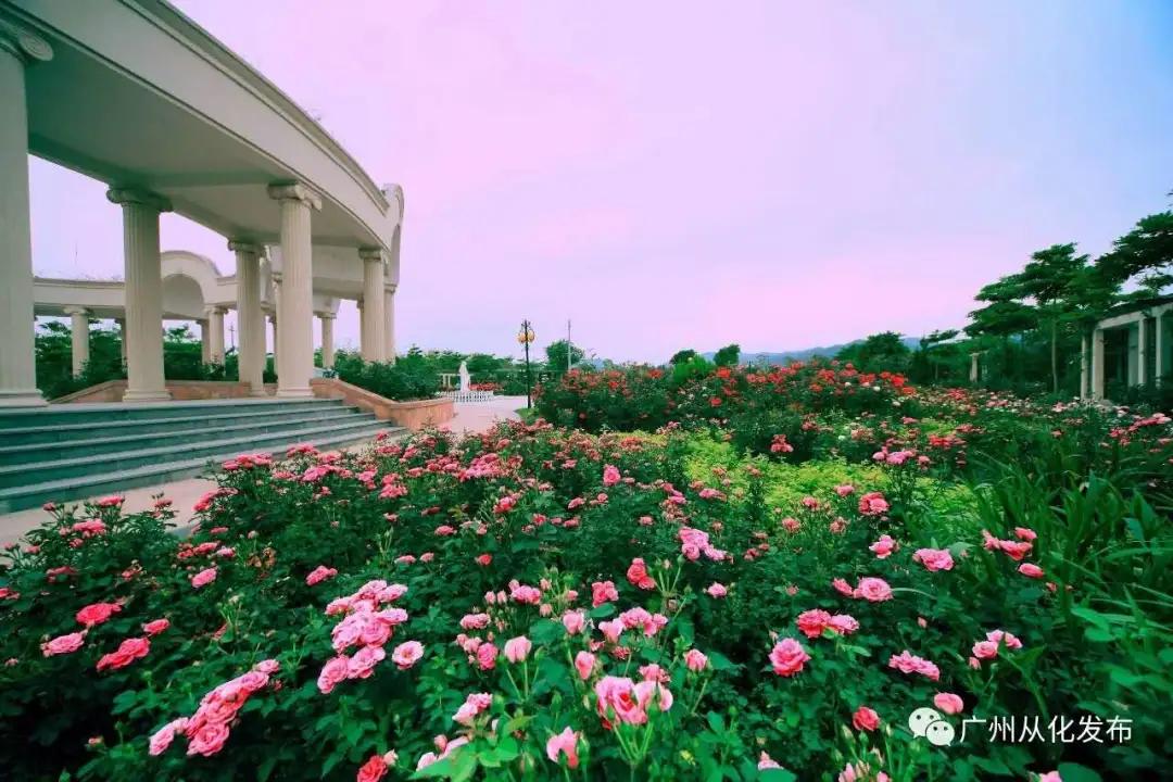 我是真的热啊,从化的天气有多冷