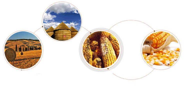 谈色色变的解释,谈癌色变恶性肿瘤已不再那么要命