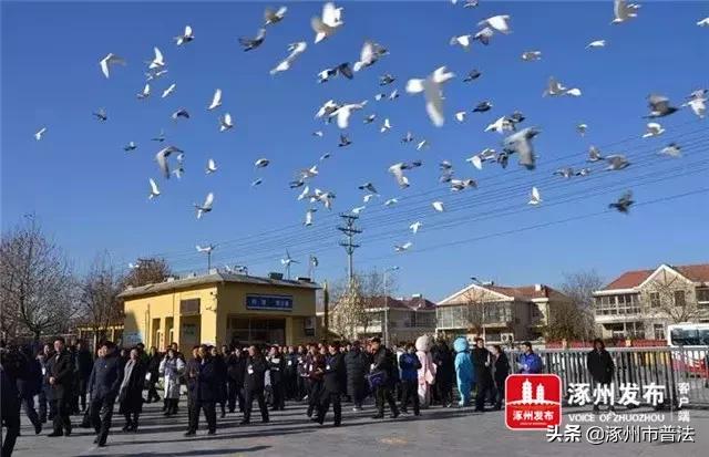 涿州发布最新通告公告,涿州最新公示