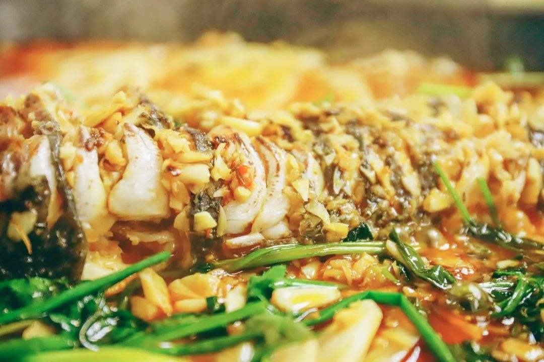 纸包鱼开店生存的几率,纸包鱼生意利润怎么样