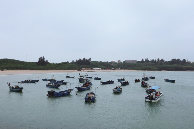 如约而至的涠洲岛,涠洲岛一生所爱