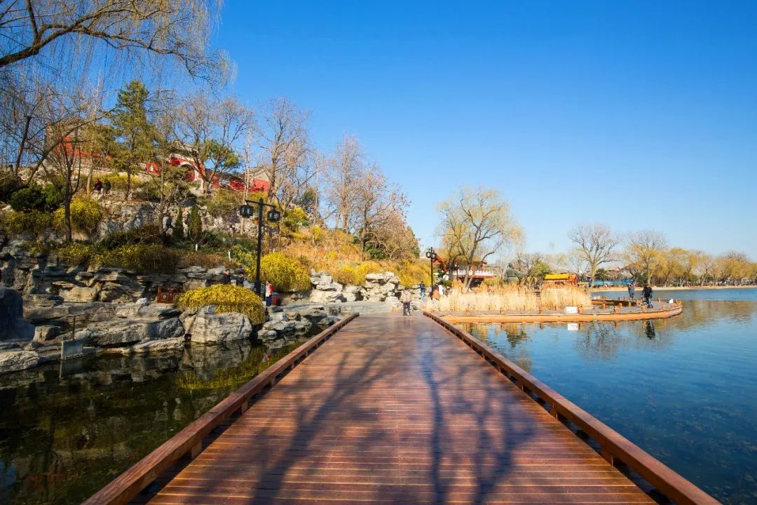 推动老城区旧貌换新颜,推进新老城区品质功能提升