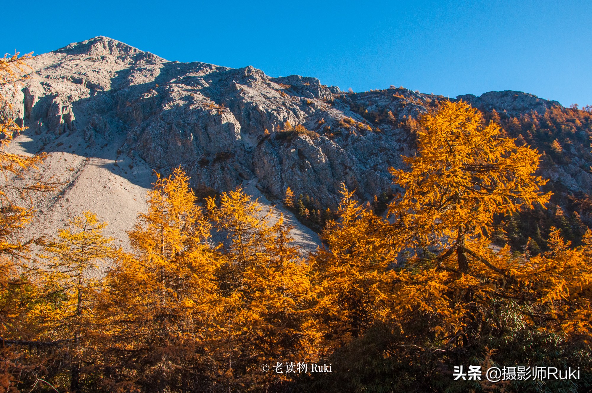 关于摄影的工作有哪些,摄影是一个浪漫的职业