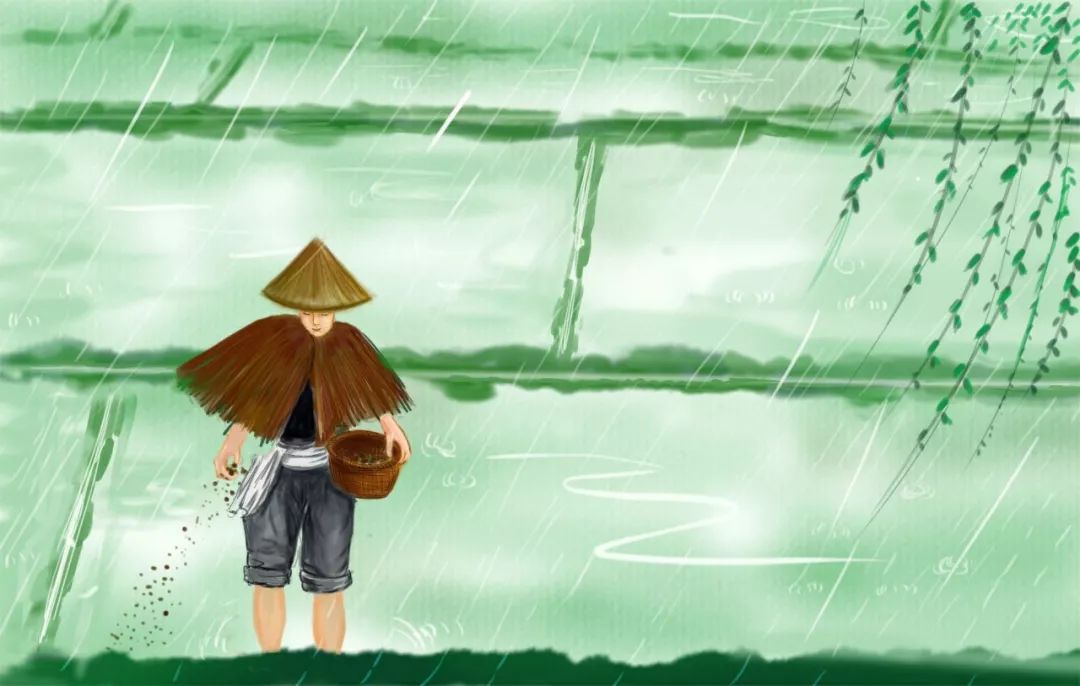 谷雨茶的食材有哪些,谷雨节气适合的养生茶