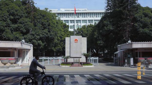 正风反腐就在身边纪录片简介,观看正风反腐坚守铁规观后感