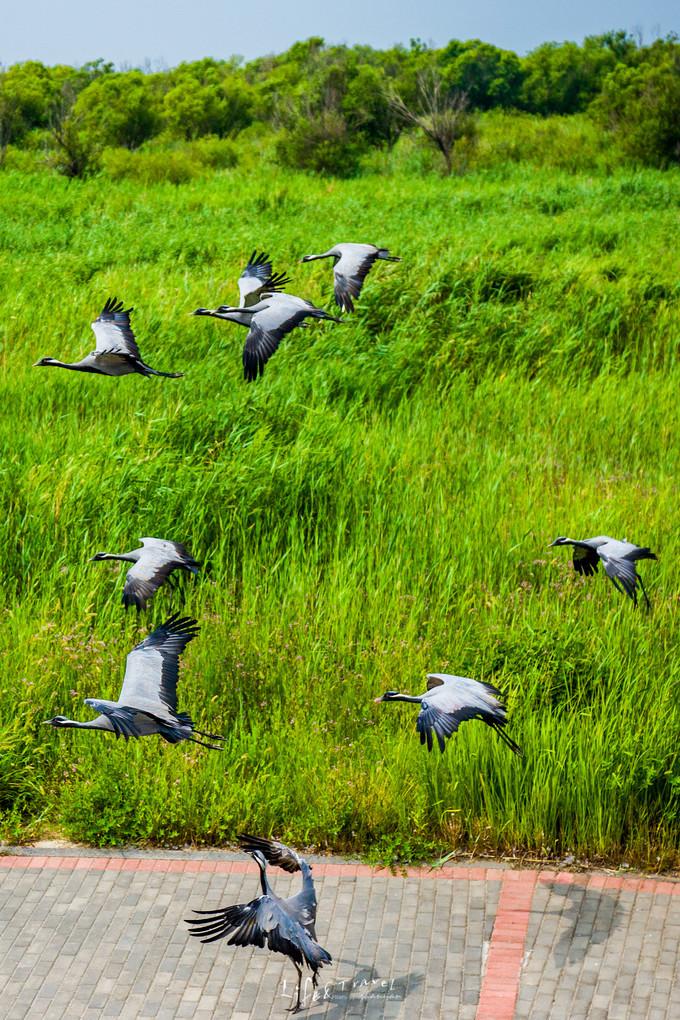 山东这两座小城，集齐了所有令人向往的美景，超级适合自驾！