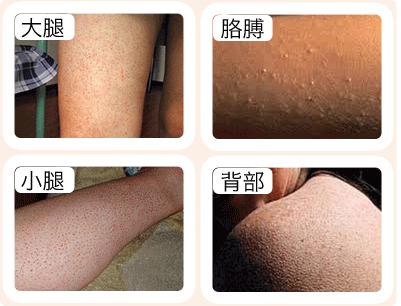 羊奶沐浴露身体乳哪个好用,纯羊奶保湿沐浴露