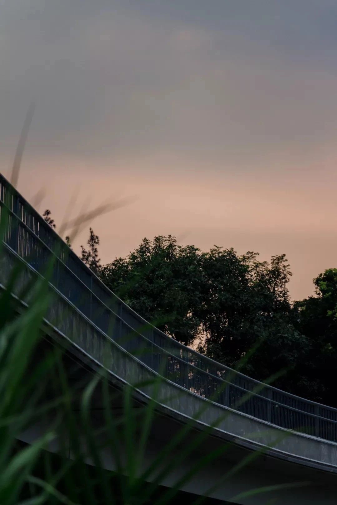 深圳旅游好去处推荐,深圳宝安区周末休闲浪漫好去处