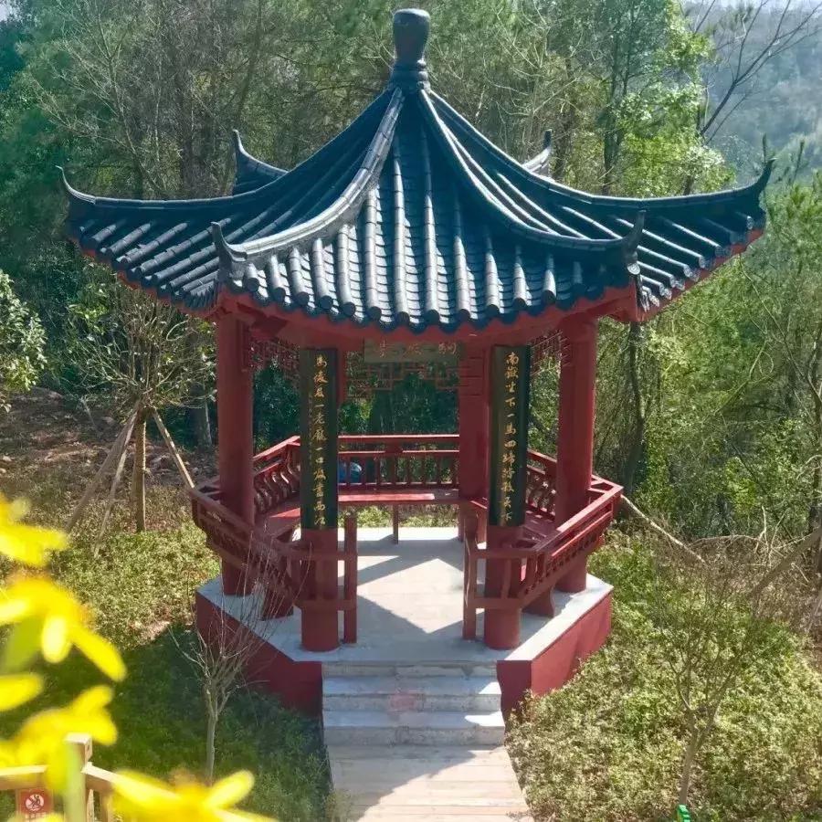 离赣州最近的森林公园还有多远,赣州最好玩的公园不要门票