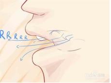 不会颤音可以学意大利语,不会弹舌怎么学意大利语