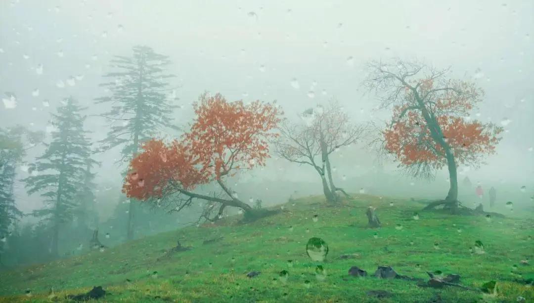 旅游景点畅玩团购,景点游玩优惠团购