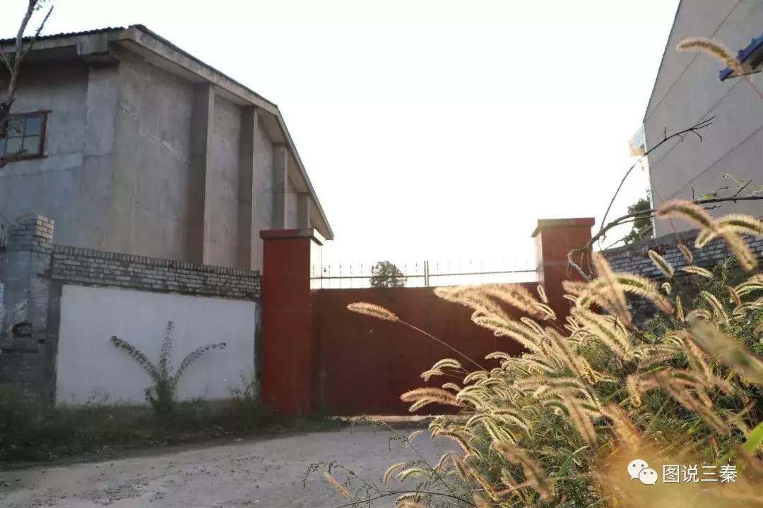 曾经人头攒动的“汤峪粮站”一个承载了汤峪几代人记忆的地方