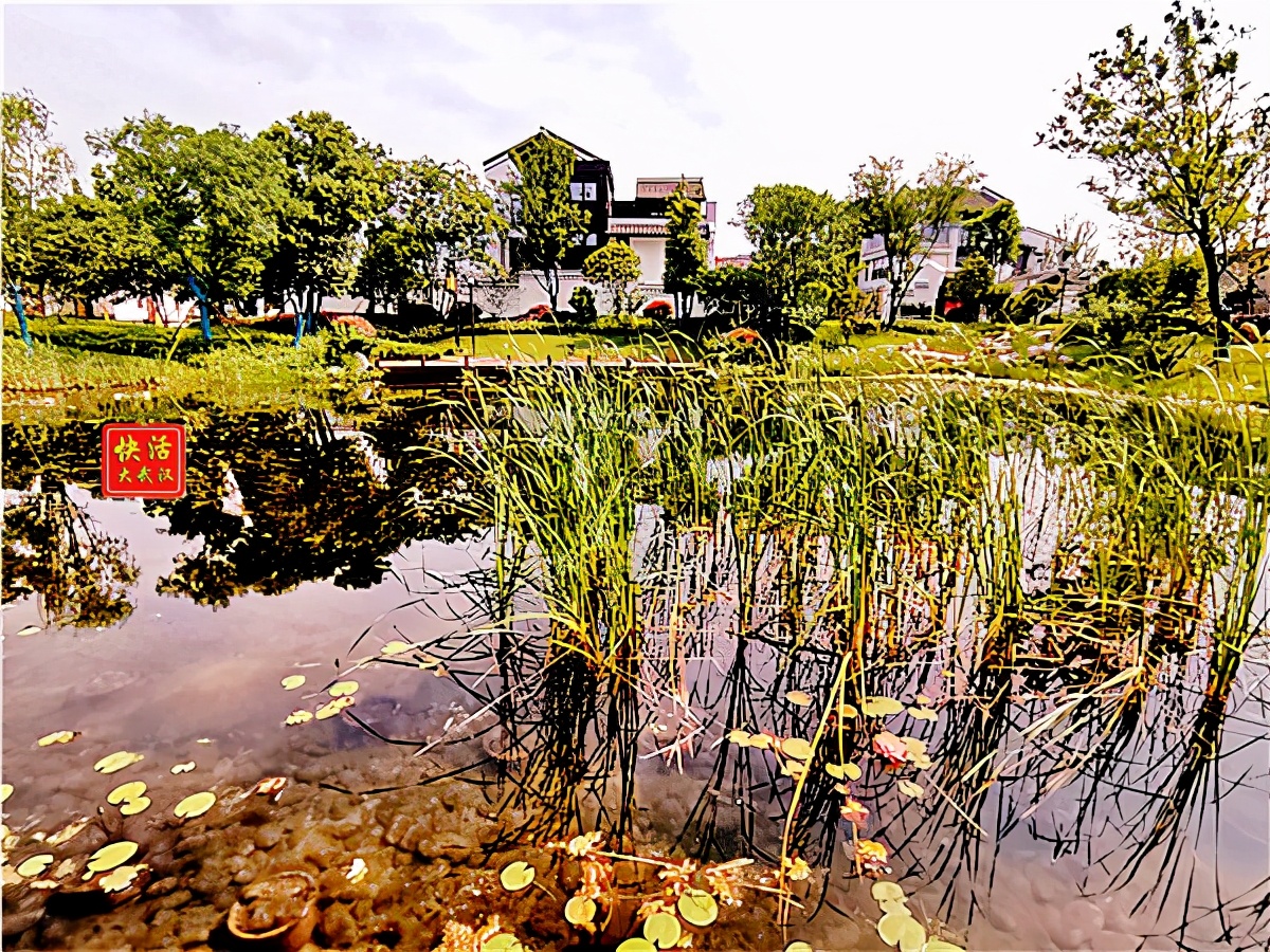 换个视角带你看园博园,换个角度看江滩