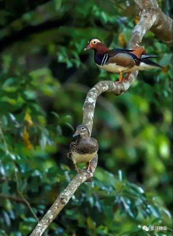 清新优雅空气新鲜是休闲的好地方,龙岩静心的地方