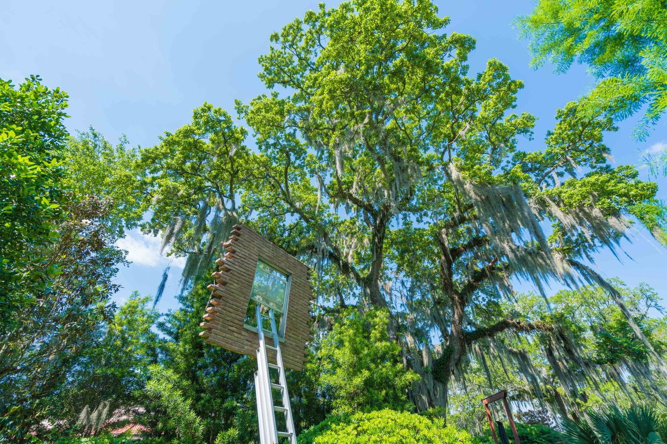 隐藏在美国的法国区，保留法国的部分风俗，却没有法国建筑