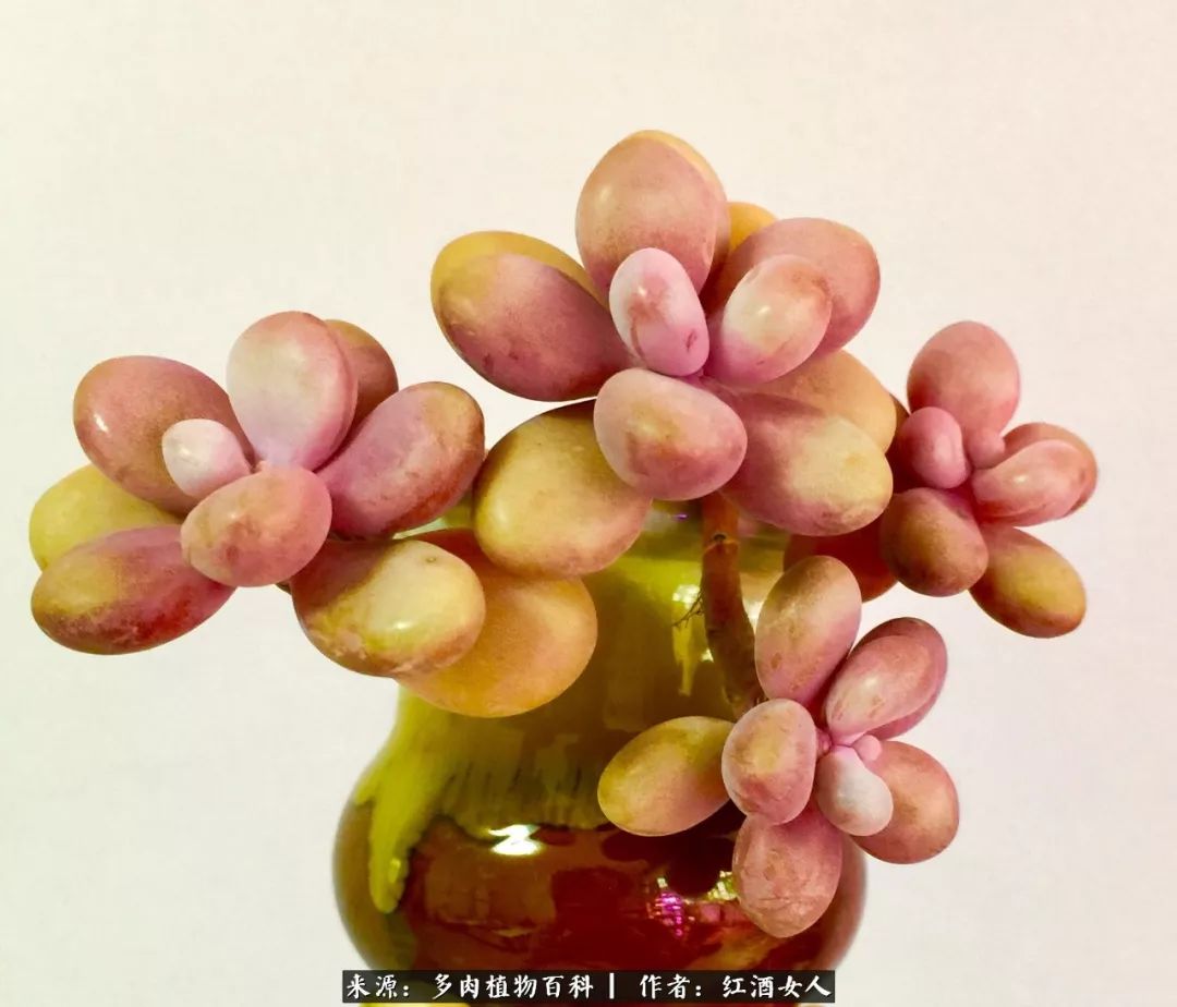 记录走过的美景留下美好的回忆,记录走过的每一段美好时光