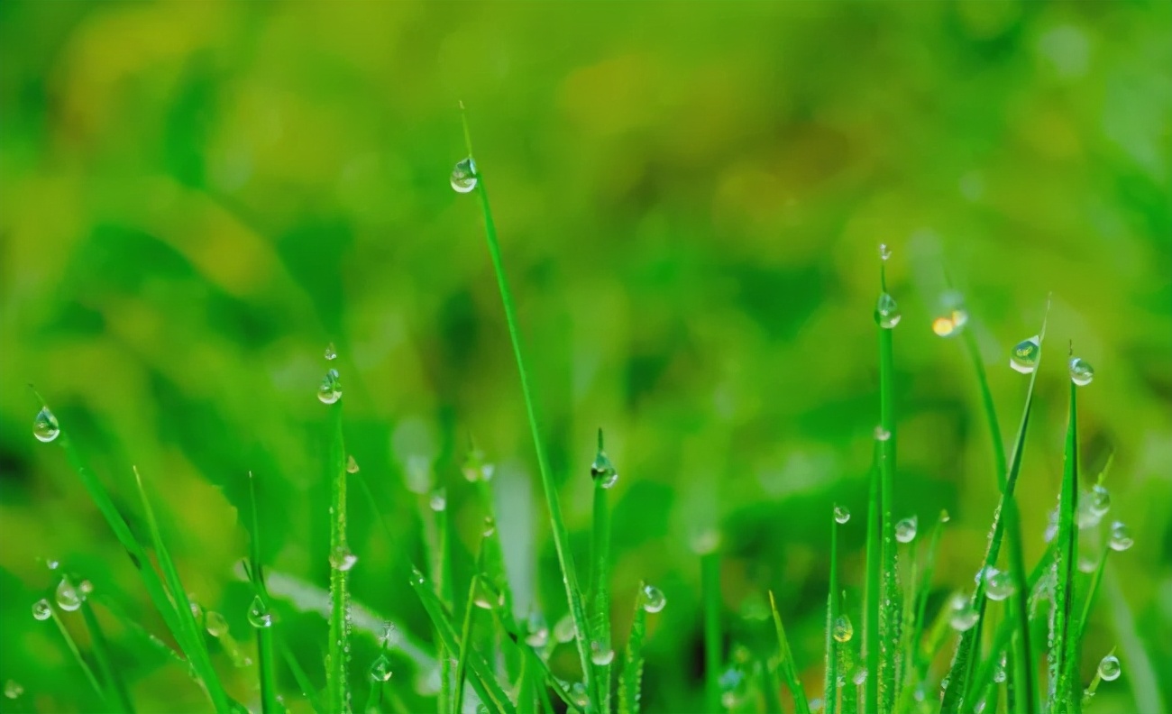 妇联春风行动招聘会,妇联春风送工作视频