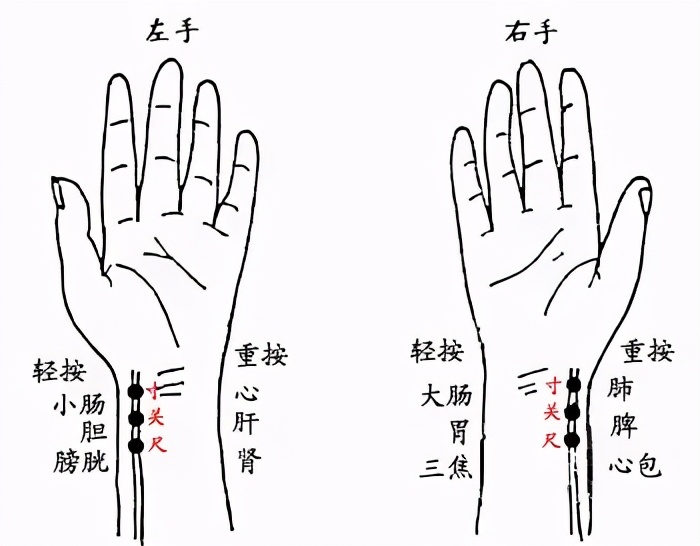 吴雄志伤寒论讲解视频,伤寒论平脉法