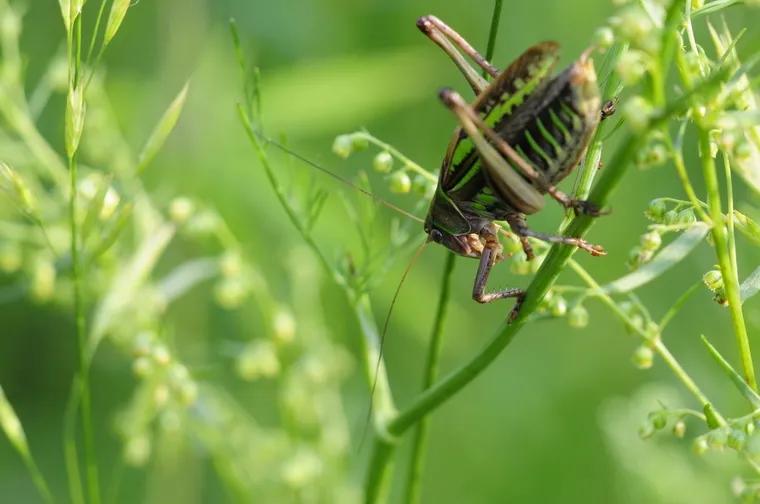 一场批斗赌徒大会