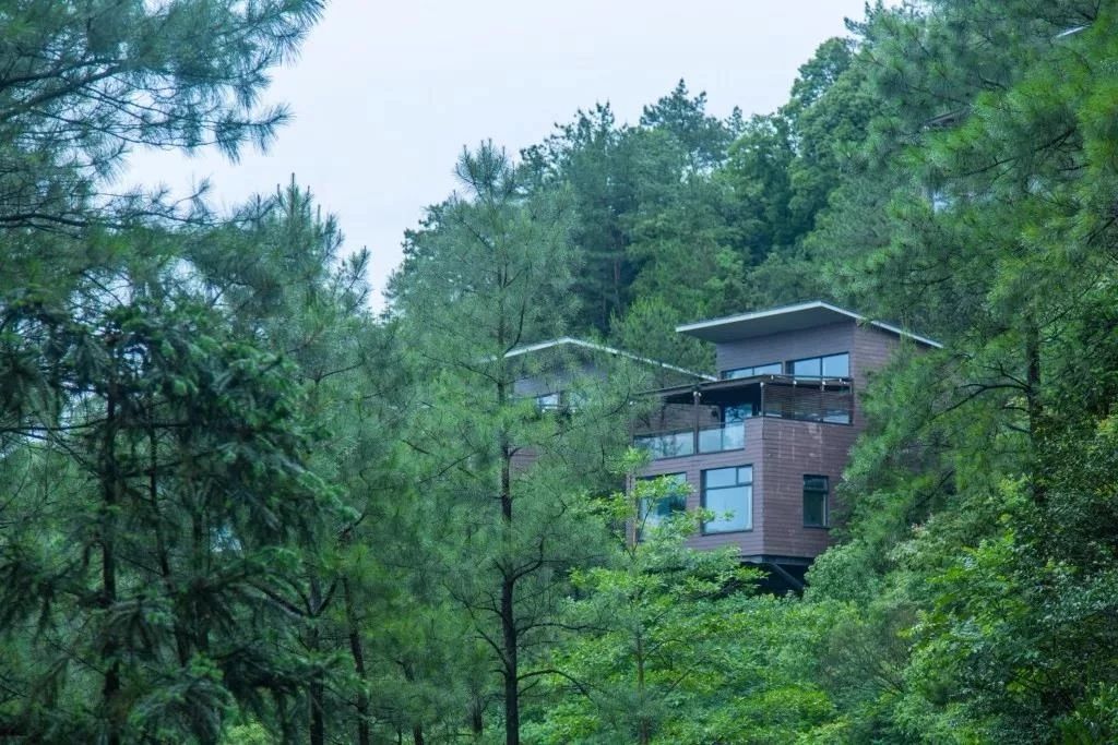 裸心堡折扣,裸心堡观景攻略