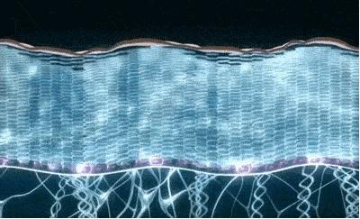 美容护肤界的万金油积雪草,积雪草在护肤界有万金油之称