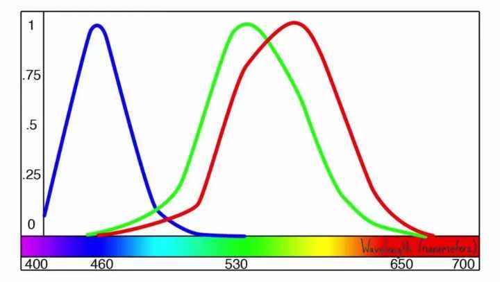 色盲悖论是什么，如何解释才能不留BUG？带你深入认识色盲