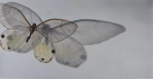 那些让人惊艳的素描,100幅精微素描图片