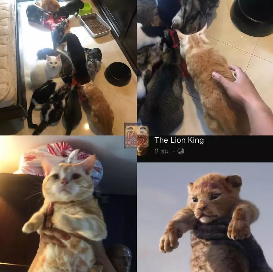 cosplay不露腿的服装,不露皮肤的cos服