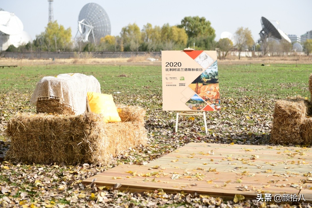 没有比利时花园游，来点比利时啤酒吧|随笔