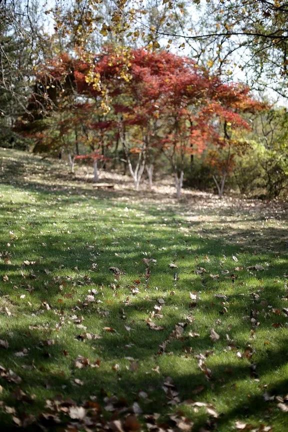 大连庄河市不收门票景点,大连不收门票的沙滩