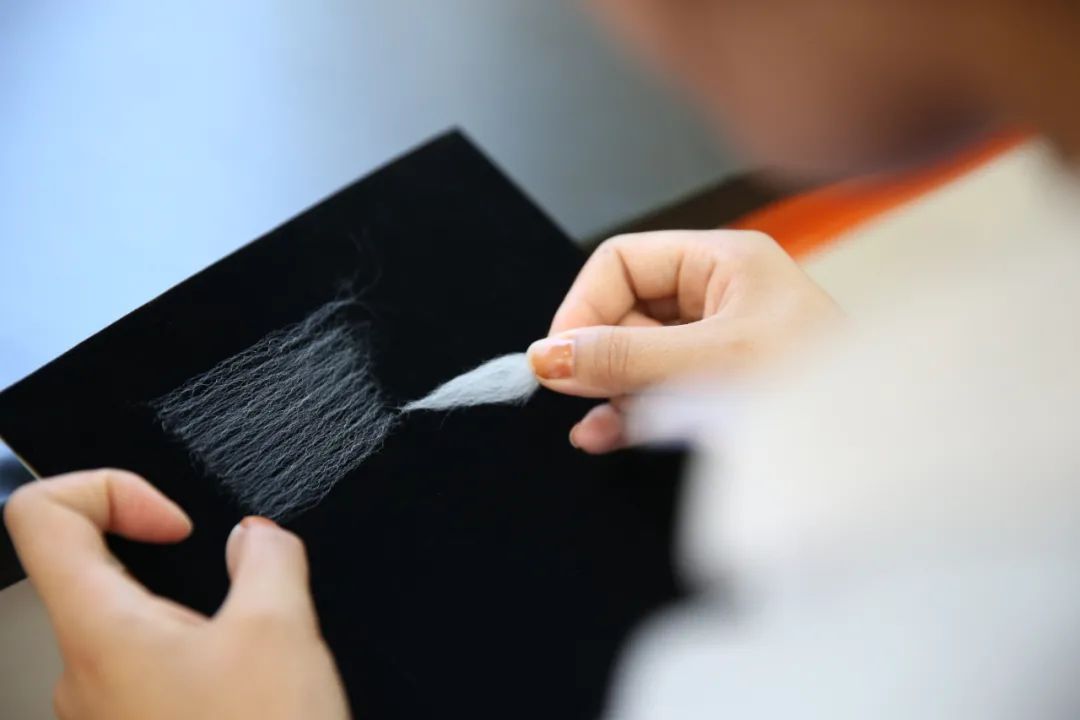 babycashmere鄂尔多斯,babycashmere是哪类羊绒