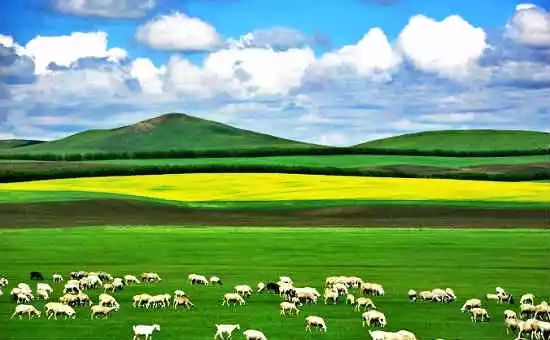 中国各地特产酒一览表,安徽各地特产一览表