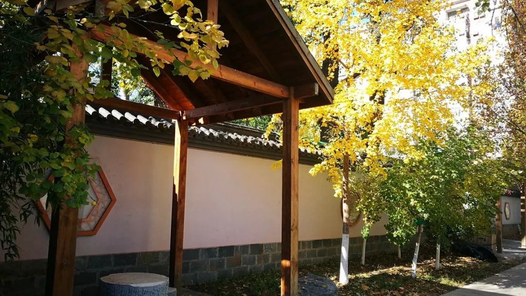 北京所有小学排名一览表,北京30所小学排名一览表