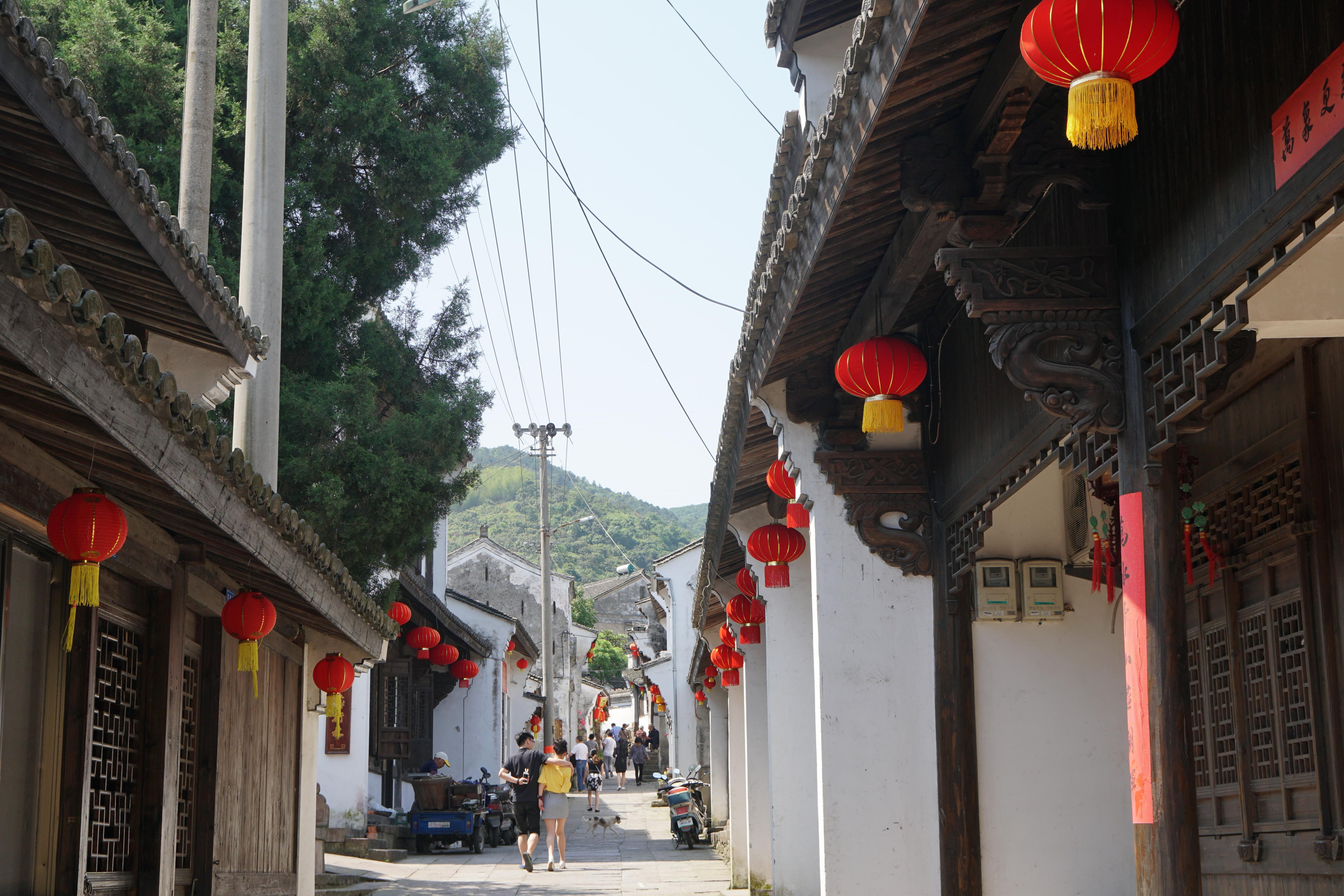 我的故乡在哪里歌词,我的故乡在哪里完整版