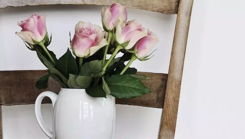 嫁个有温度的男人,嫁一个靠谱的男人