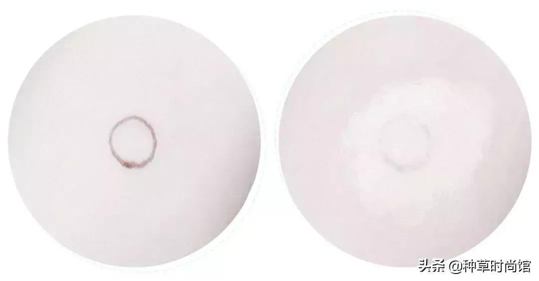 测评500ml粉底液,测评500块钱粉底液