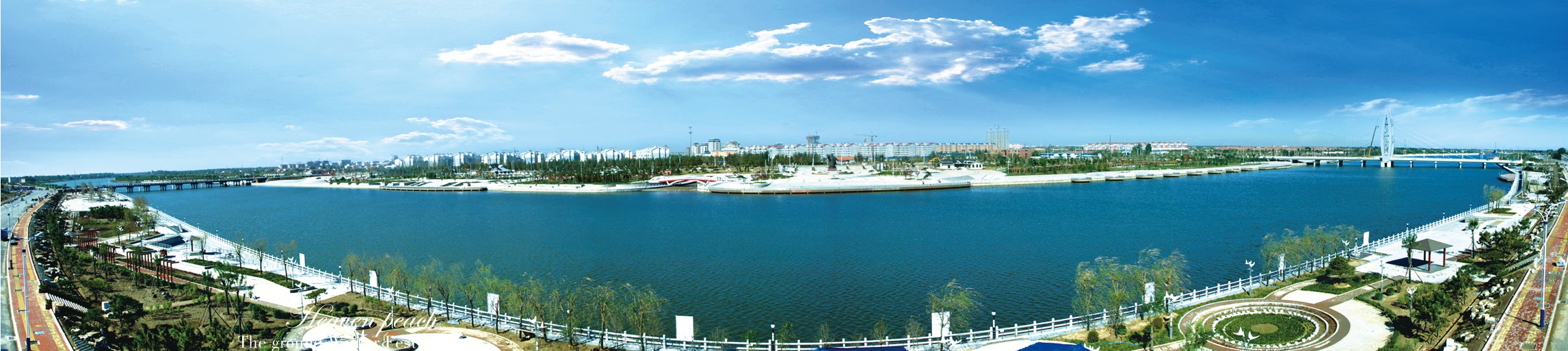 中国冬枣第一村拥有多少亩冬枣,正宗沾化冬枣之乡