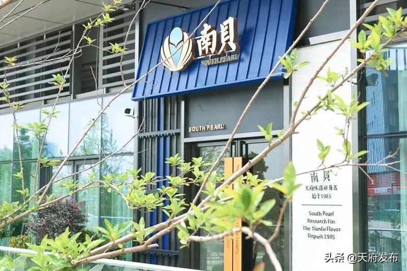 世警会准备什么,世警赛赛程2023