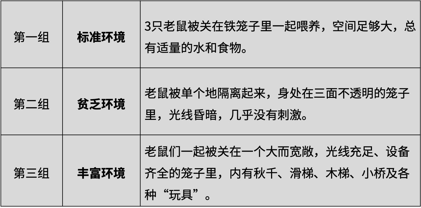 科学家用三组老鼠做实验，发现了让大脑变聪明的秘密……父母必读