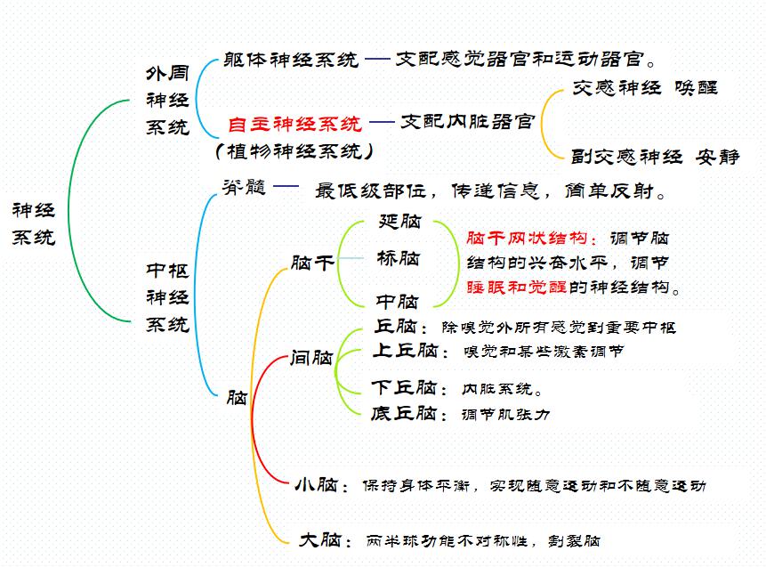 心理学培训笔记,心理咨询师发展心理学知识点归纳