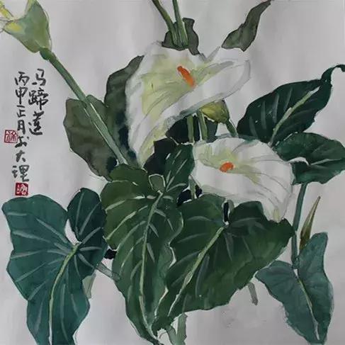 徐鲁白：画一朵会唱歌的花