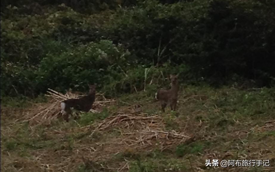 豆瓣9.1分看哭百万人,豆瓣评分9.0却很少有人看懂