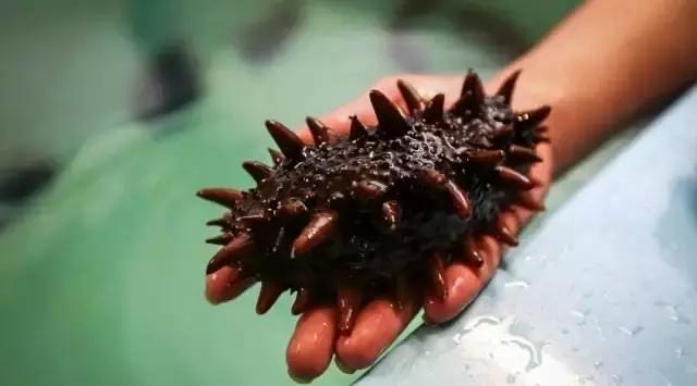 娆ф床鐪熺殑绂绘垜浠緢杩滃悧,娆ф床閭ｄ簺琚拷鐣ョ殑缇庝附鍩庡競