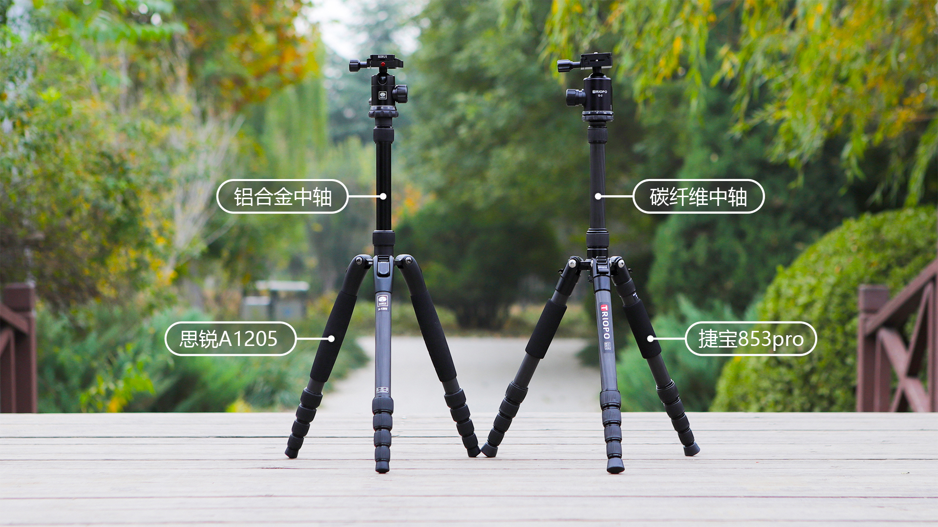 如何选择思锐三脚架,思锐碳纤维迷你三脚架测评
