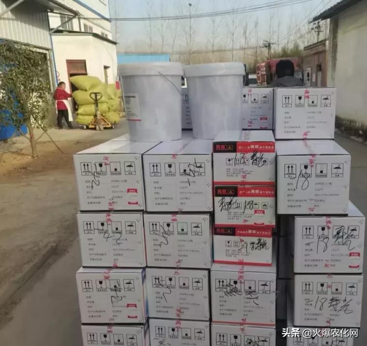 跳甲打甲,跳甲上午打还是晚上打好