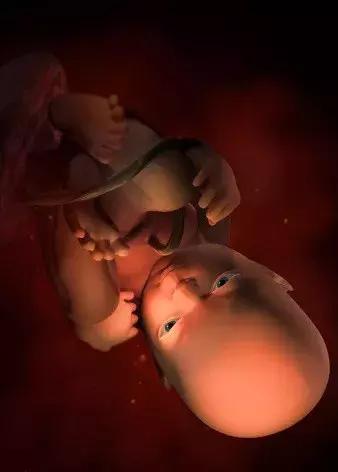 孕期知识30秒,孕妇怀孕六个月都有哪些知识