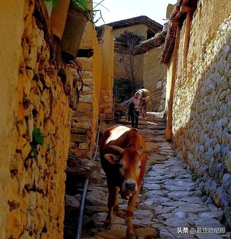 城子古村落的房子,古老的城子古村