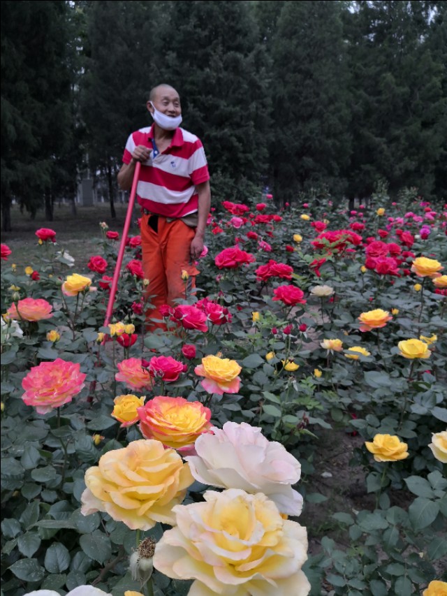 父亲节快到了又想起了我的爸爸,父亲节让我想起了自己的爸爸