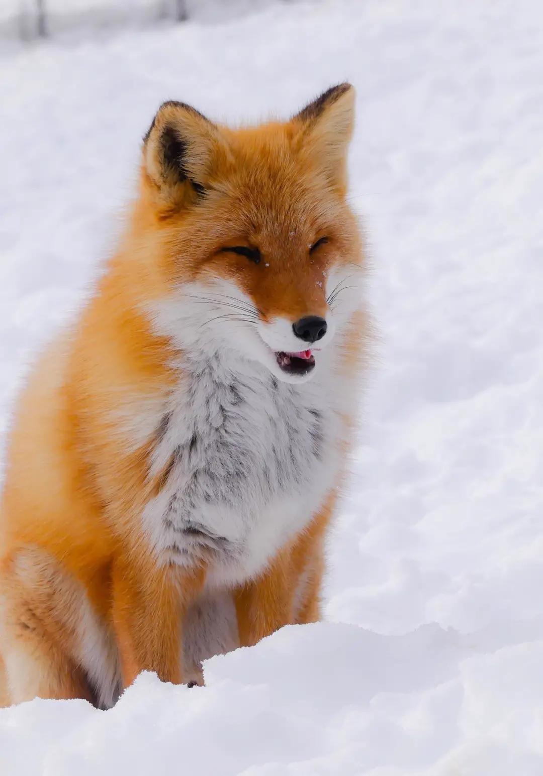 五一象山旅游避坑,五一象山旅游景点推荐
