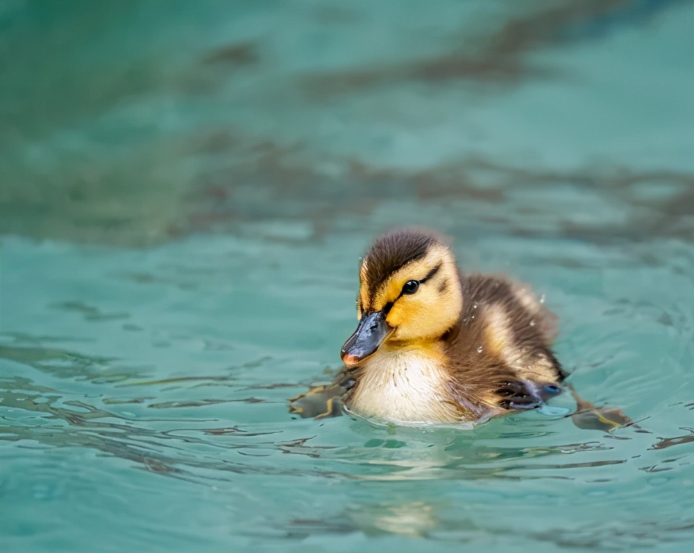 今年股指期货交割日的涨与跌,股指期货交割日尾盘突然大涨